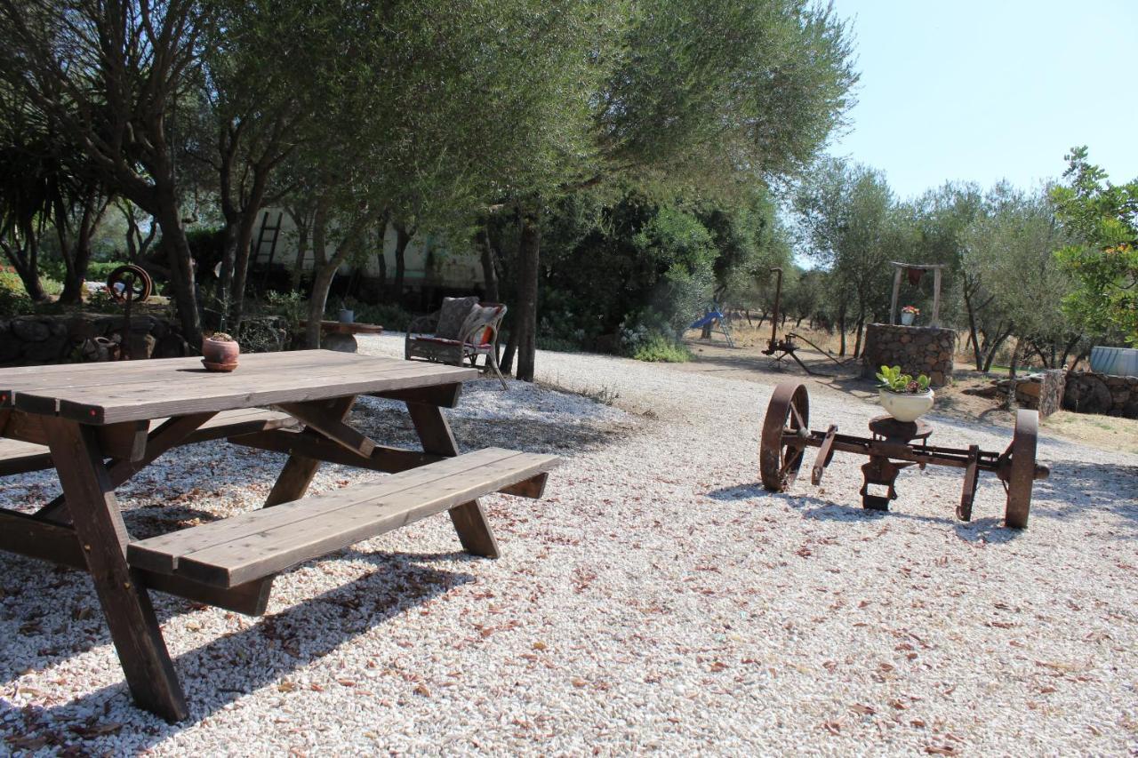 Bed&Breakfast Pira pinta Dorgali Exterior foto