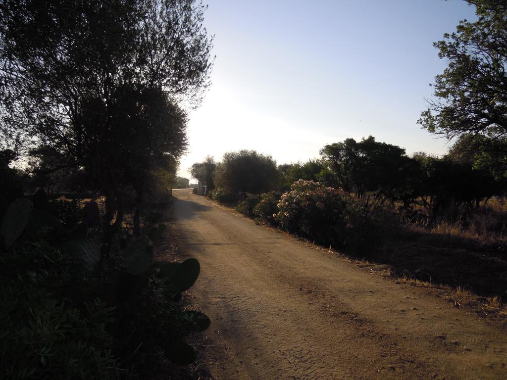 Agriturismo Pira Pinta Acomodação com café da manhã Dorgali Quarto foto