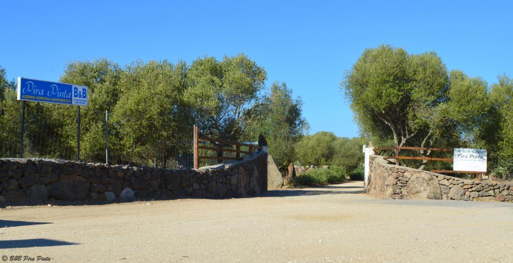 Agriturismo Pira Pinta Acomodação com café da manhã Dorgali Exterior foto